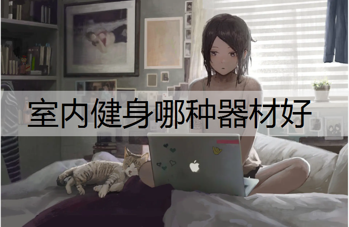 室内健身哪种器材好