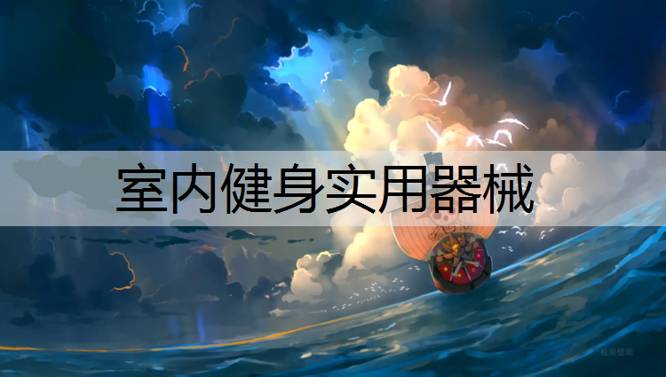 室内健身实用器械