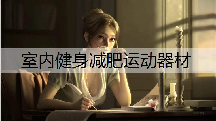 室内健身减肥运动器材