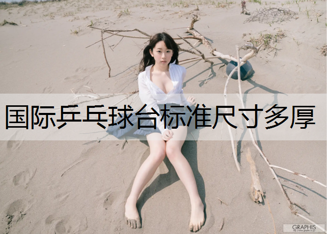 国际乒乓球台标准尺寸多厚