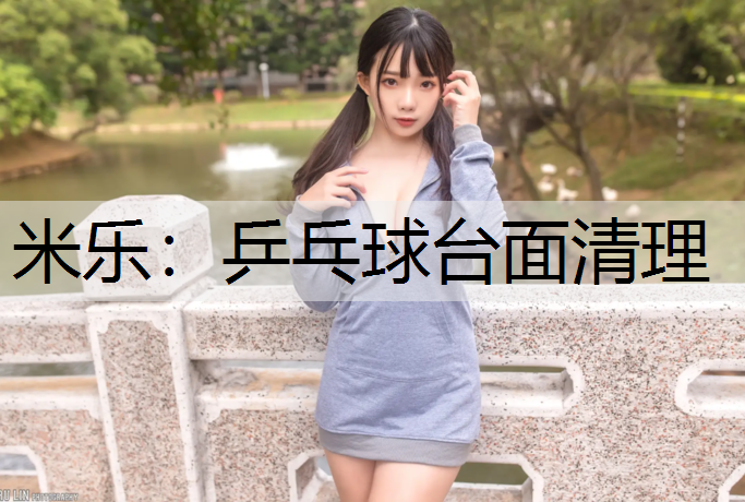 乒乓球台面清理