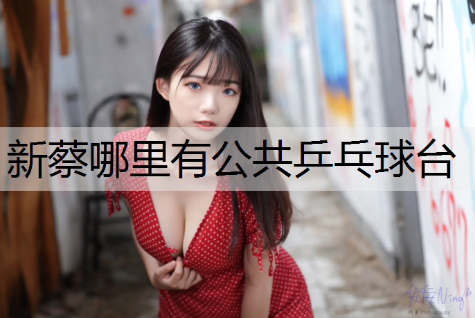 新蔡哪里有公共乒乓球台