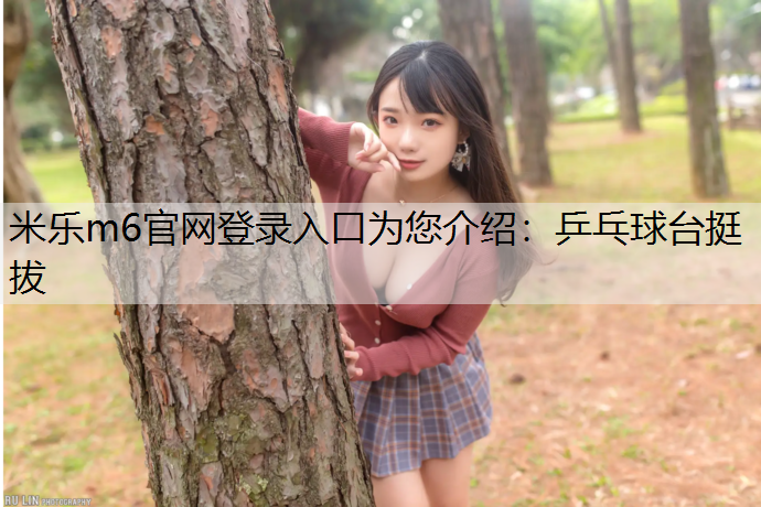 乒乓球台挺拔